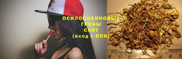 сатива Баксан
