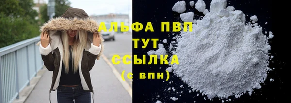 сатива Баксан