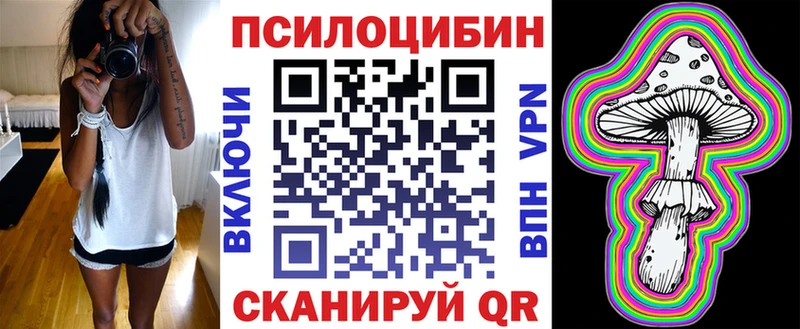 Псилоцибиновые грибы Cubensis  Городец 